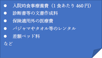 図1：高額療養費の対象とならないもの（例）