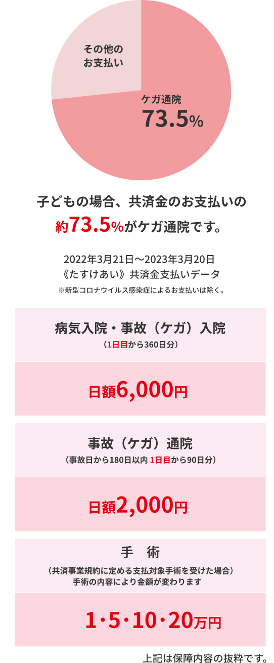 その他の お支払い ケガ通院 73.5% 子どもの場合、共済金のお支払いの 約73.5％がケガ通院です。 2022年3月21日～2023年3月20日《たすけあい》共済金支払いデータ ※新型コロナウイルス感染症によるお支払いは除く。 病気入院・事故（ケガ）入院 （1日目から360日分） 日額6,000円 事故（ケガ）通院 （事故日から180日以内 1日目から90日分） 日額2,000円 手　術 （共済事業規約に定める支払対象手術を受けた場合） 手術の内容により金額が変わります 1･5･10･20万円 上記は保障内容の抜粋です。