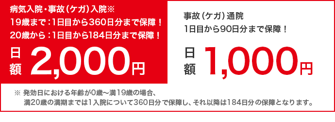 病気入院・事故（ケガ）入院※ 19歳まで：1日目から360日分まで保障！20歳から：1日目から184日分まで保障！日額2,000円　事故（ケガ）通院 1日目から90日分まで保障！日額1,000円　※発効日における年齢が0歳～満19歳の場合、満20歳の満期までは1入院について360日分で保障し、それ以降は184日分の保障となります。